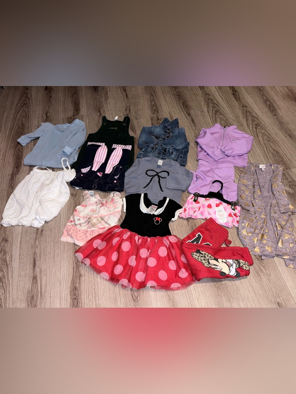 Baby Girl Clothing Bundle 12-24 months